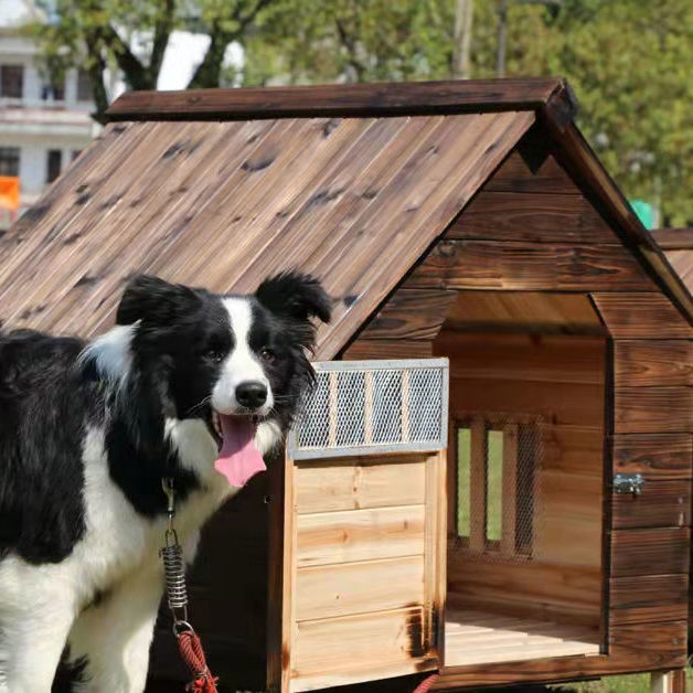 装点花灯闹元宵